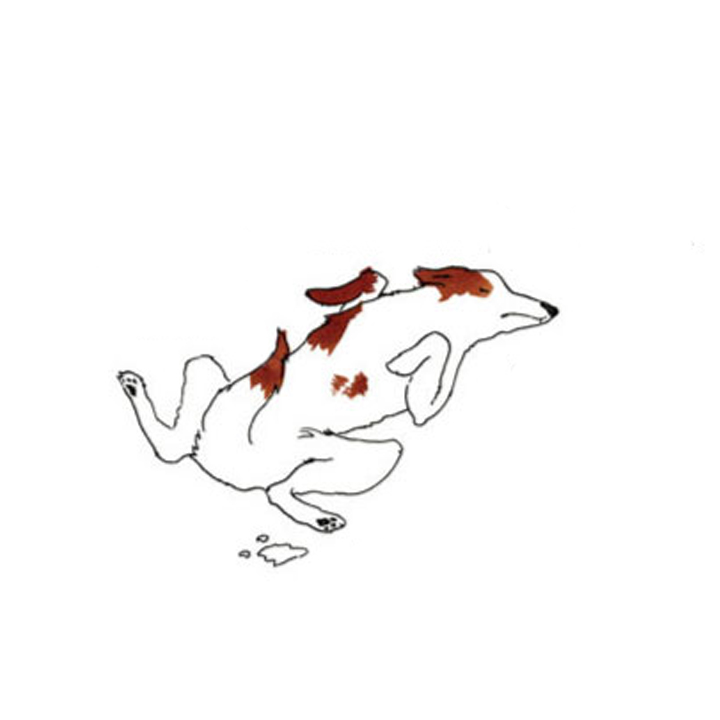 سگ