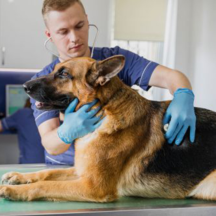 عقیم