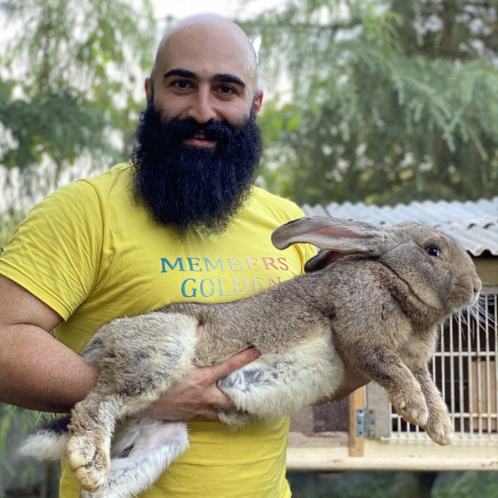 حیوان خانگی