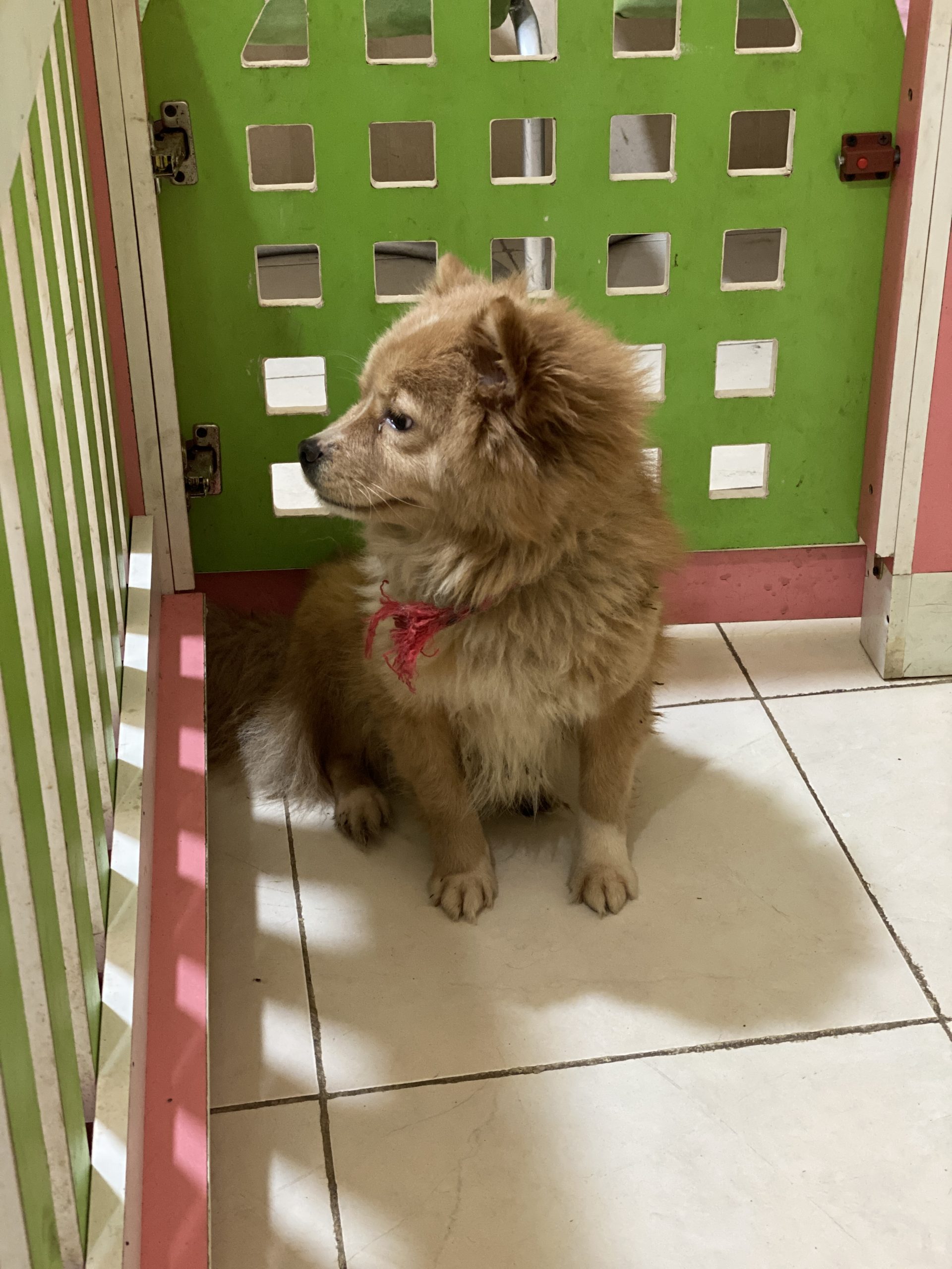 5A46D019-8FFF-4D90-8356-657DC11437DD