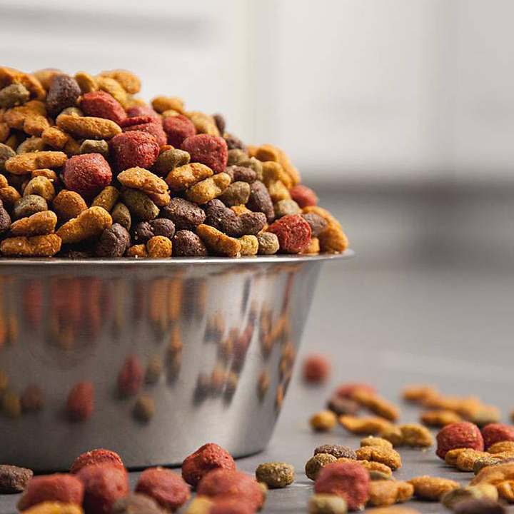 باکیفیت ترین غذا برای سگ