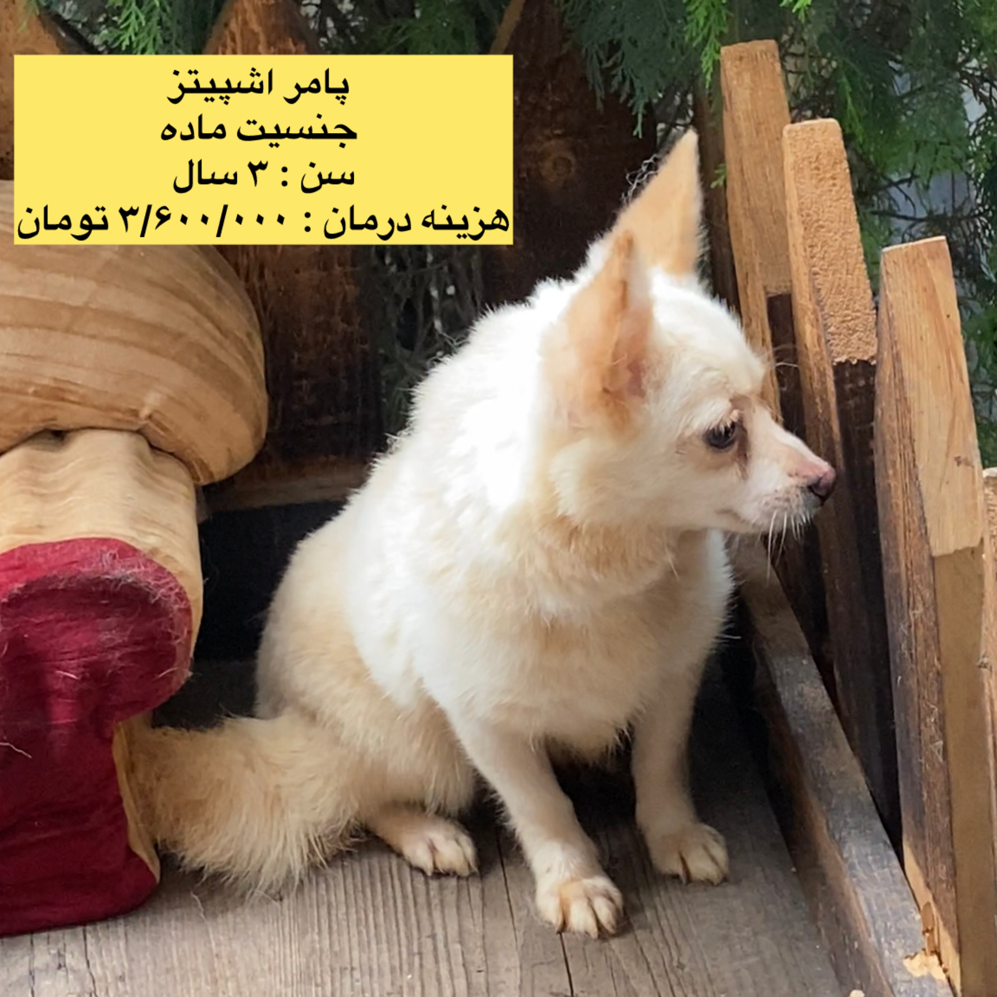 photo-output_3