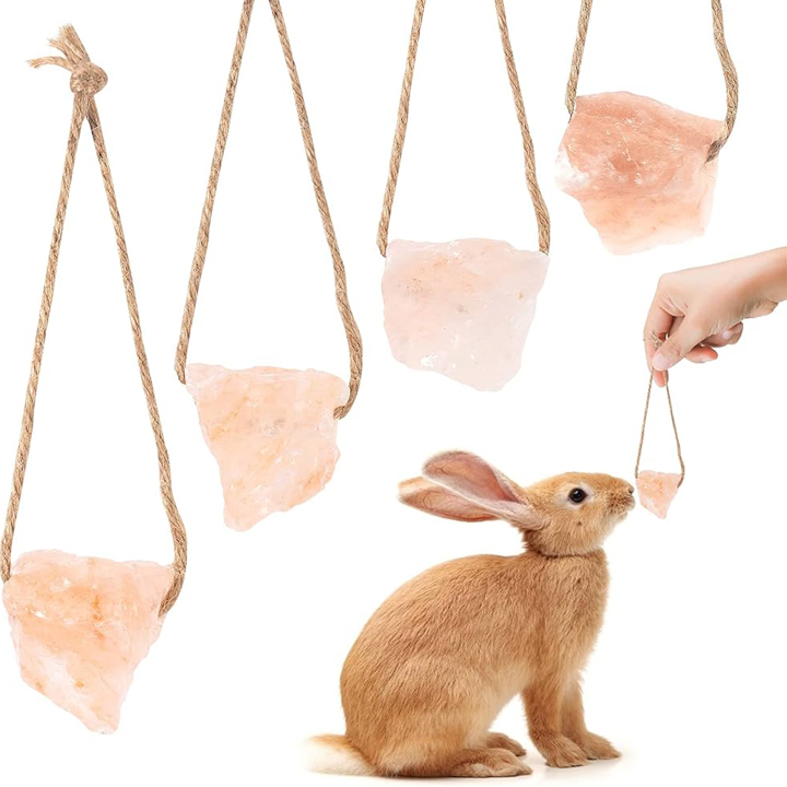 دلیل نمک لیس زدن خرگوش